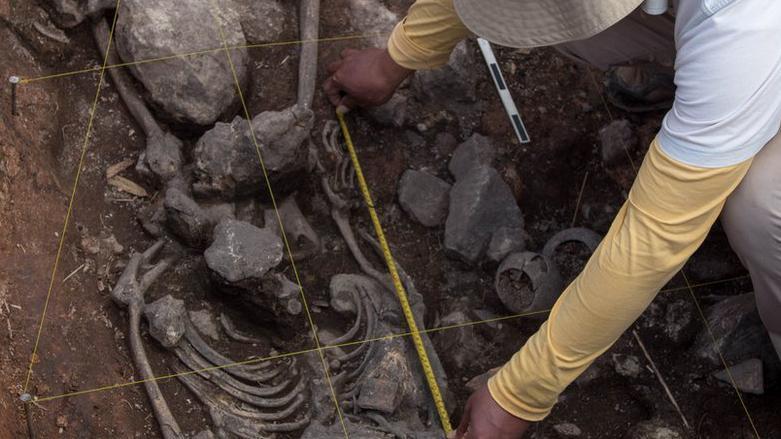 Un arqueólogo midiendo el esqueleto hallado en la tumba peruana.