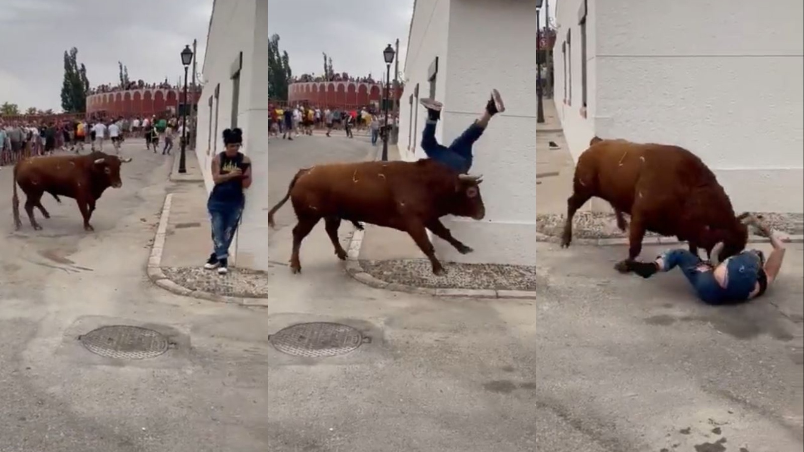 Joven distraída con su celular siendo corneada por un toro