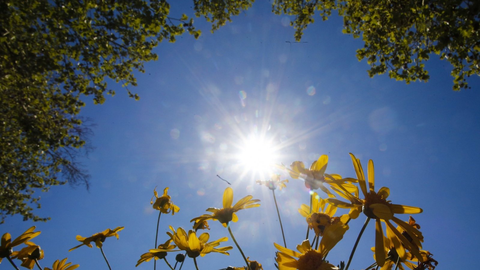 Cuándo comienza la primavera.