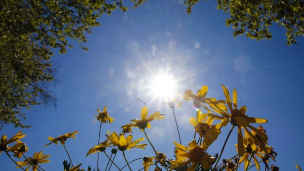 Cuándo comienza la primavera.
