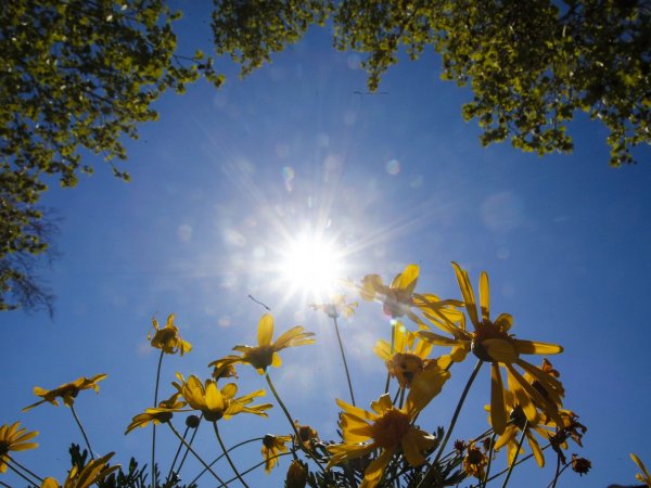 Cuándo comienza la primavera.