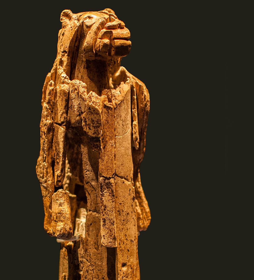 El hombre león
