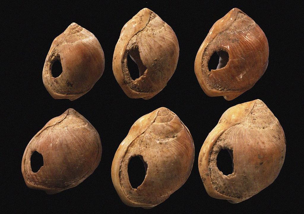 Cuentas de conchas perforadas de la cueva de Blombos de ~70.000 a.C.