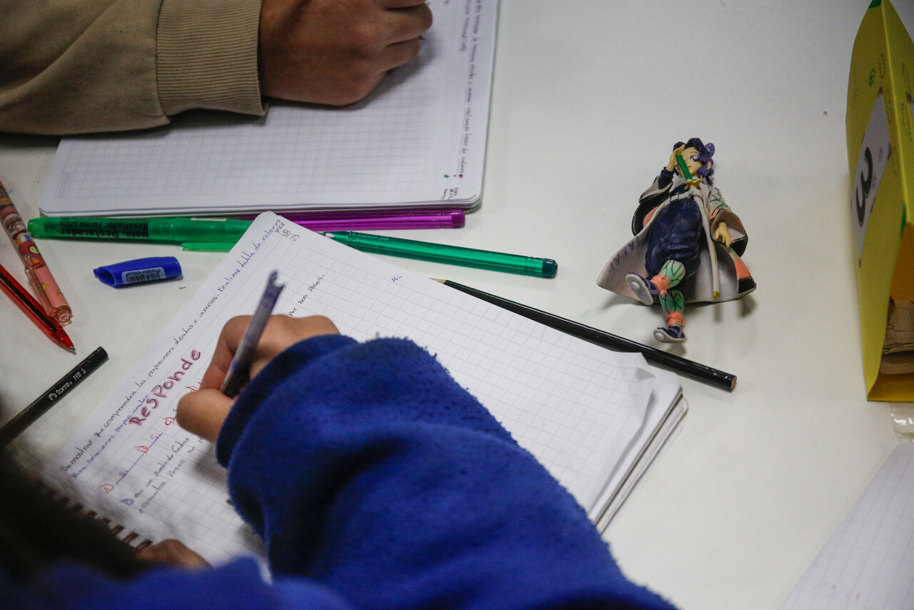 Estudiante en el colegio. Sistema de Admisión Escolar (SAE).