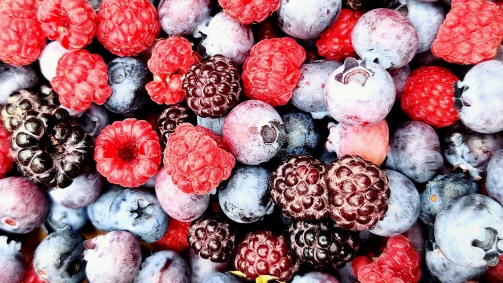 Berries, frutillas y frambuesas, ¿sabias qué?, 2023.
