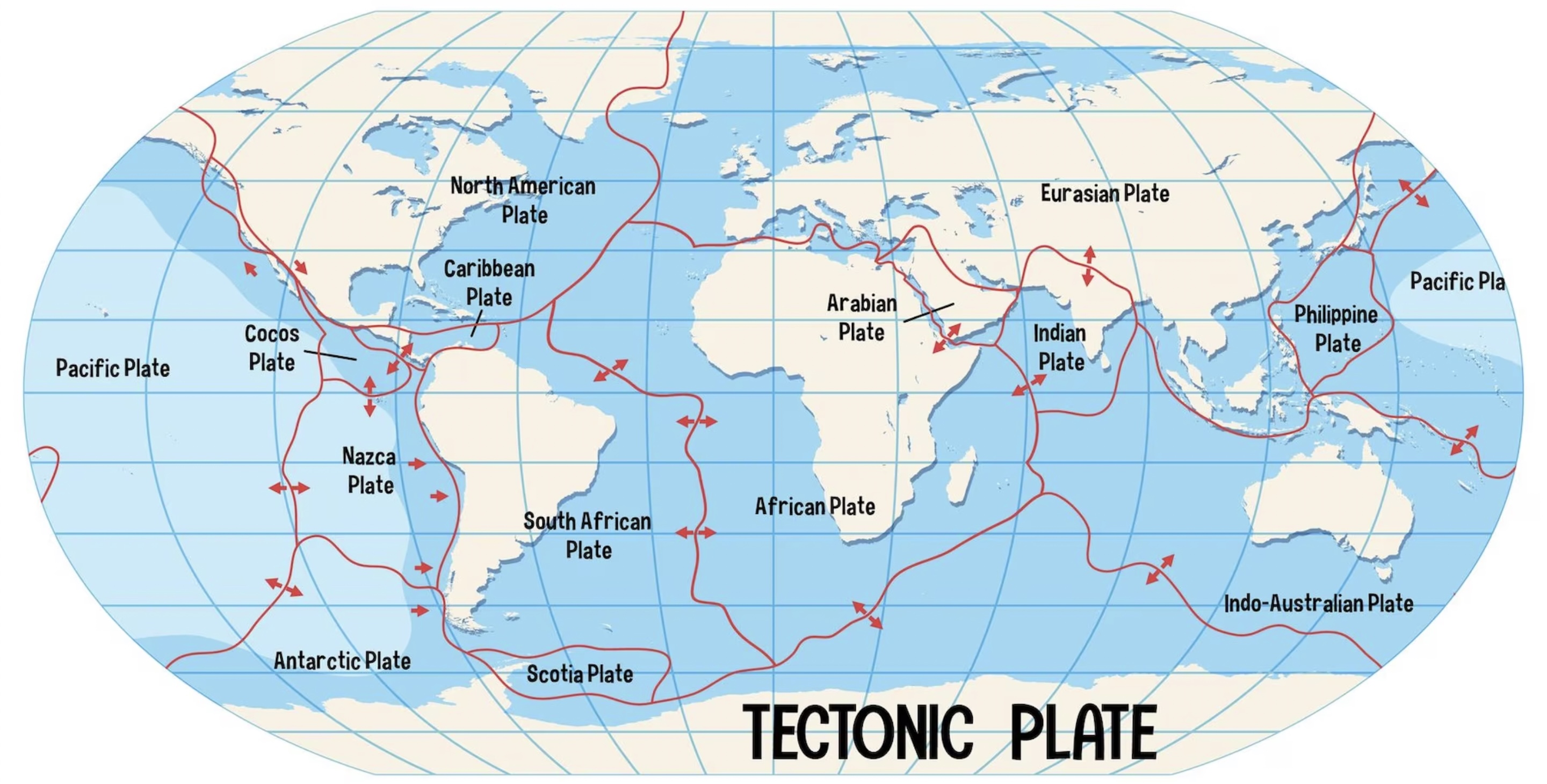 Placas tectónicas. Sismo en Coquimbo.