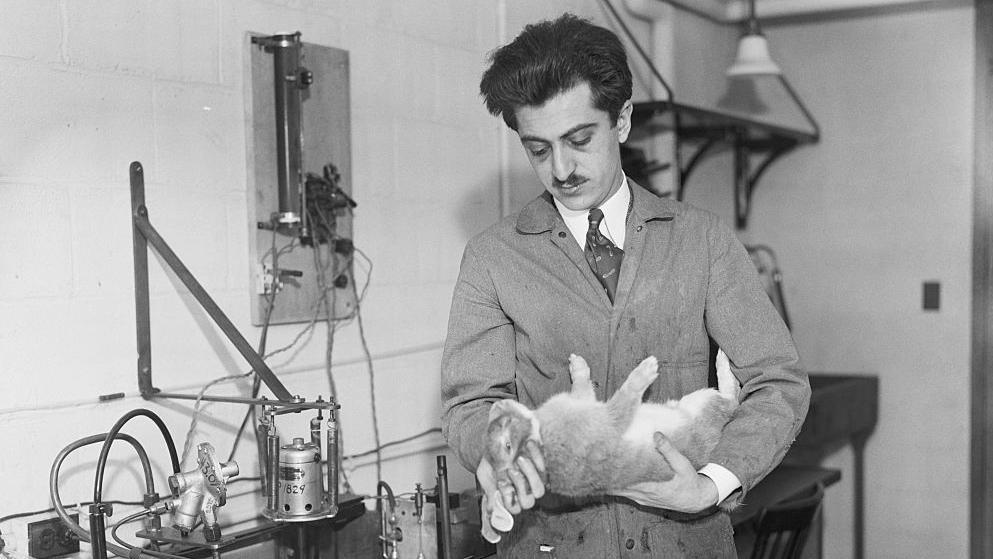 Gregory Pincus en un laboratorio sostiene a un conejo