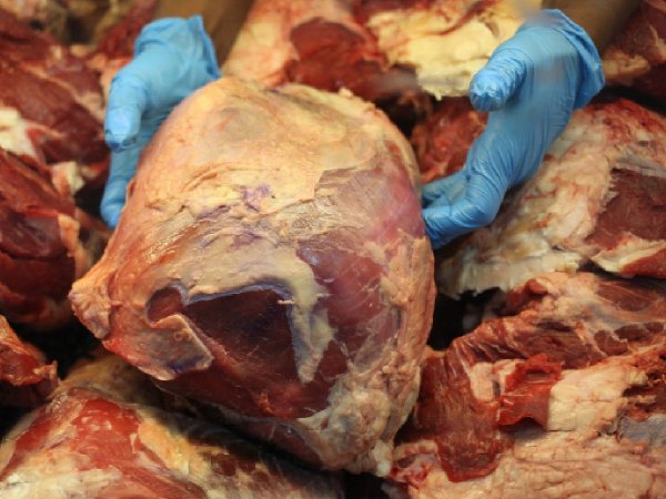 Fiscalización de venta de carnes de cara a Fiestas Patrias.