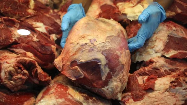 Fiscalización de venta de carnes de cara a Fiestas Patrias.