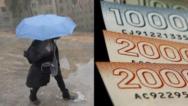 Bolsillo Familiar Electrónico. Sistema Frontal. Billetes.