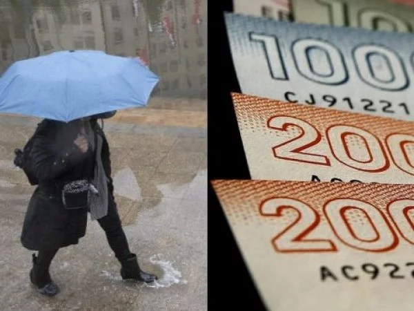 Bolsillo Familiar Electrónico. Sistema Frontal. Billetes.