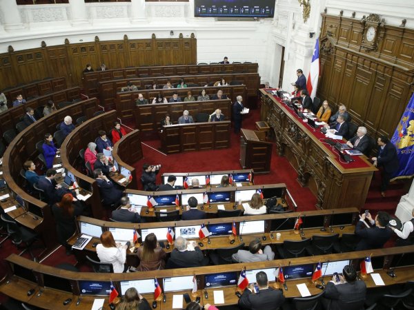 Pleno Consejo Constitucional