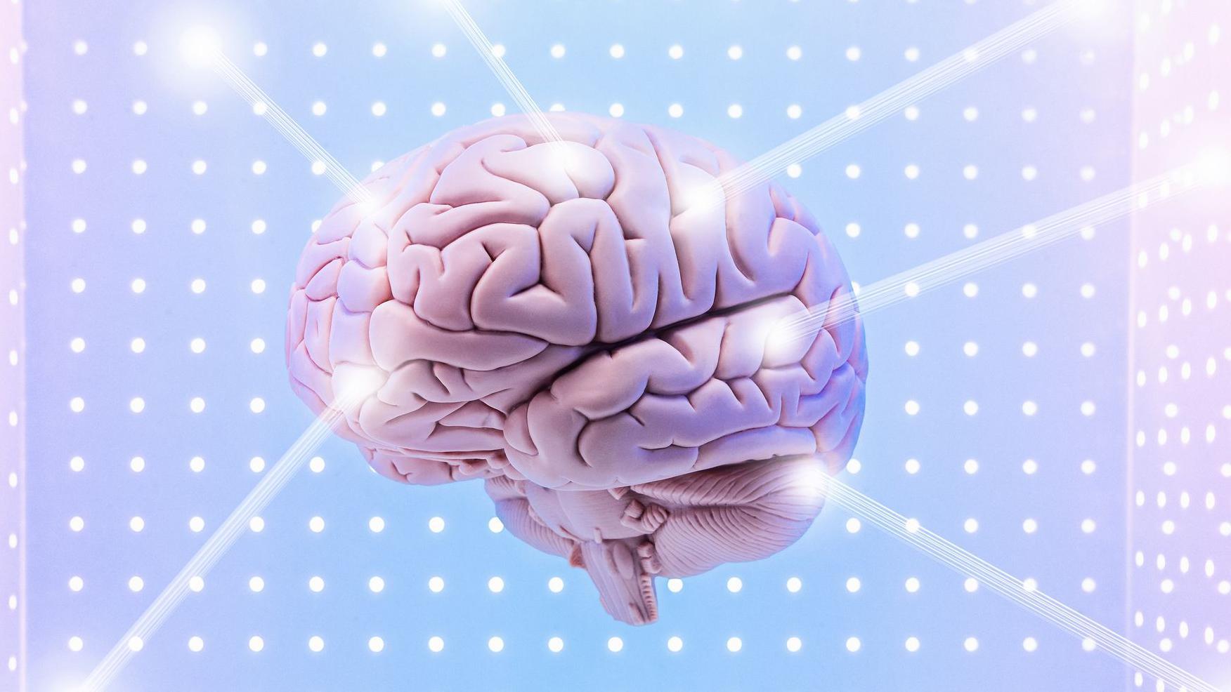 Ilustración de un cerebro
