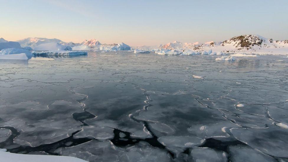 Hielo marino muy fino en primer plano: este es un tipo de hielo marino llamado "nilas" que se forma en condiciones de viento muy bajo.