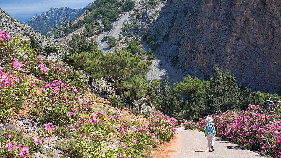 Mujer caminando en un sendero rodeado a ambos lados de flores en las montañas en Grecia