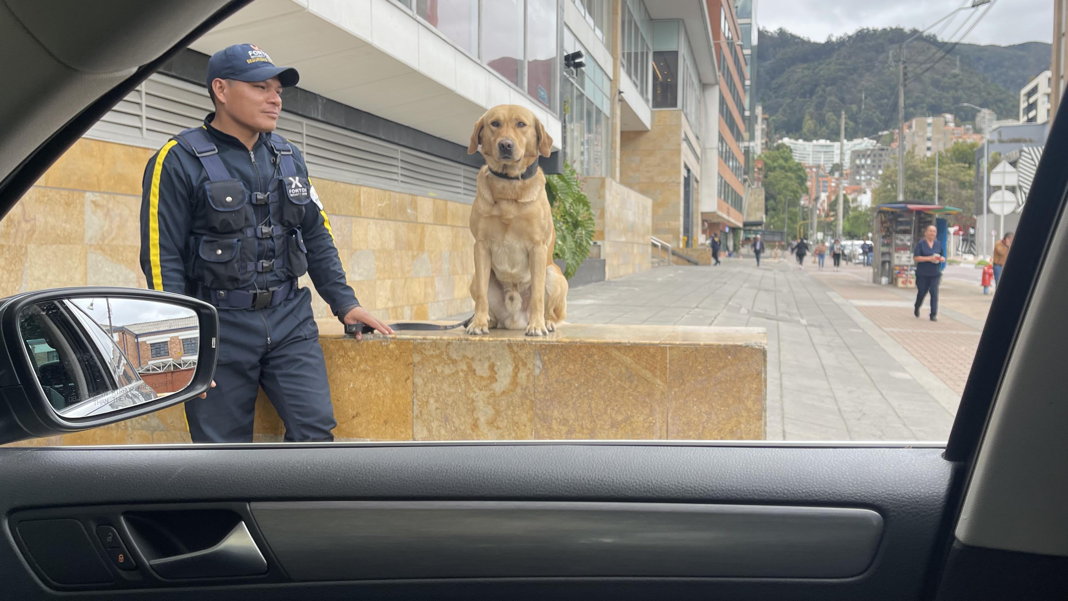 Perros antiexplosivos en Colombia