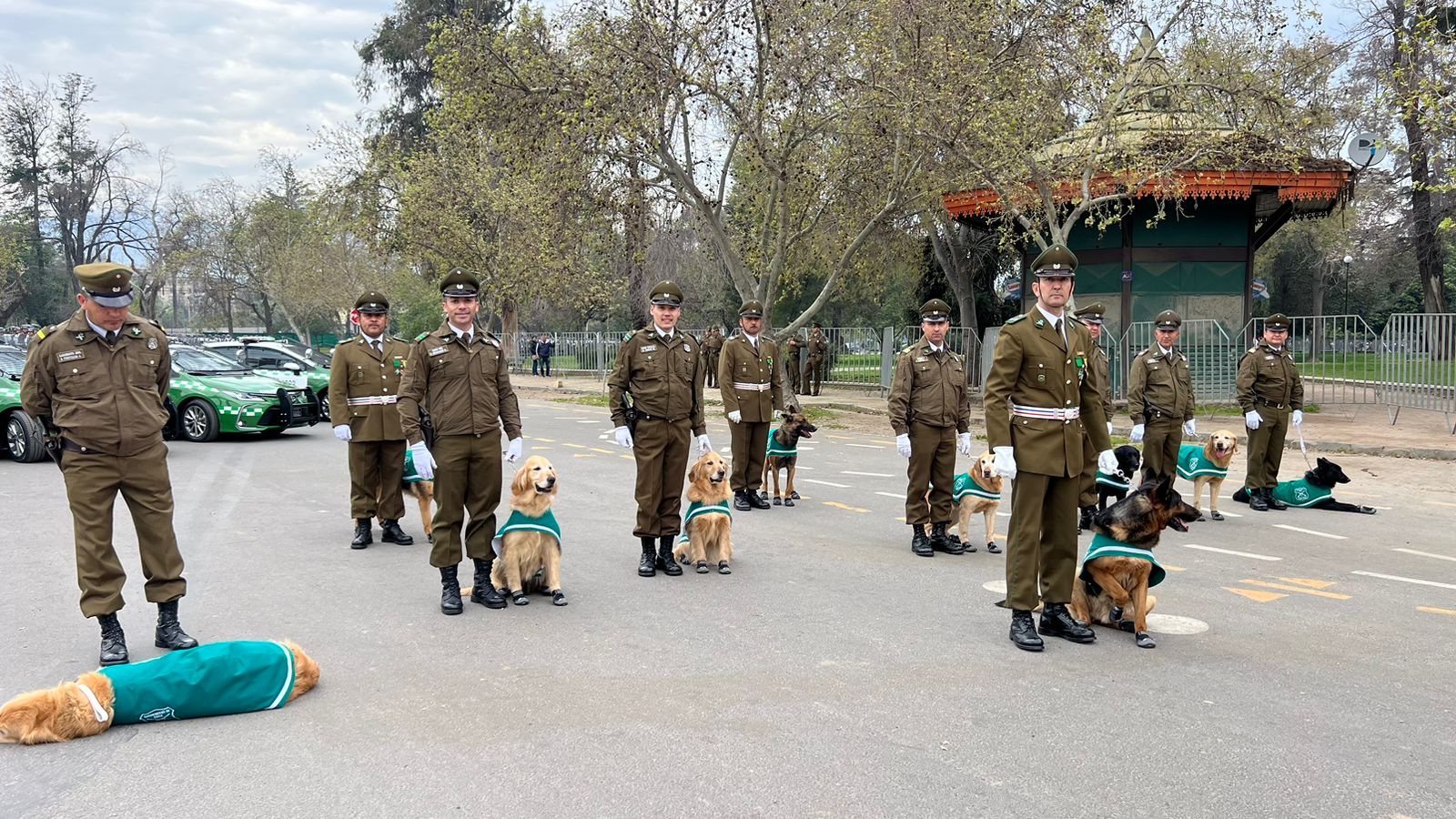 Perritos que pasan a retiro en Carabineros