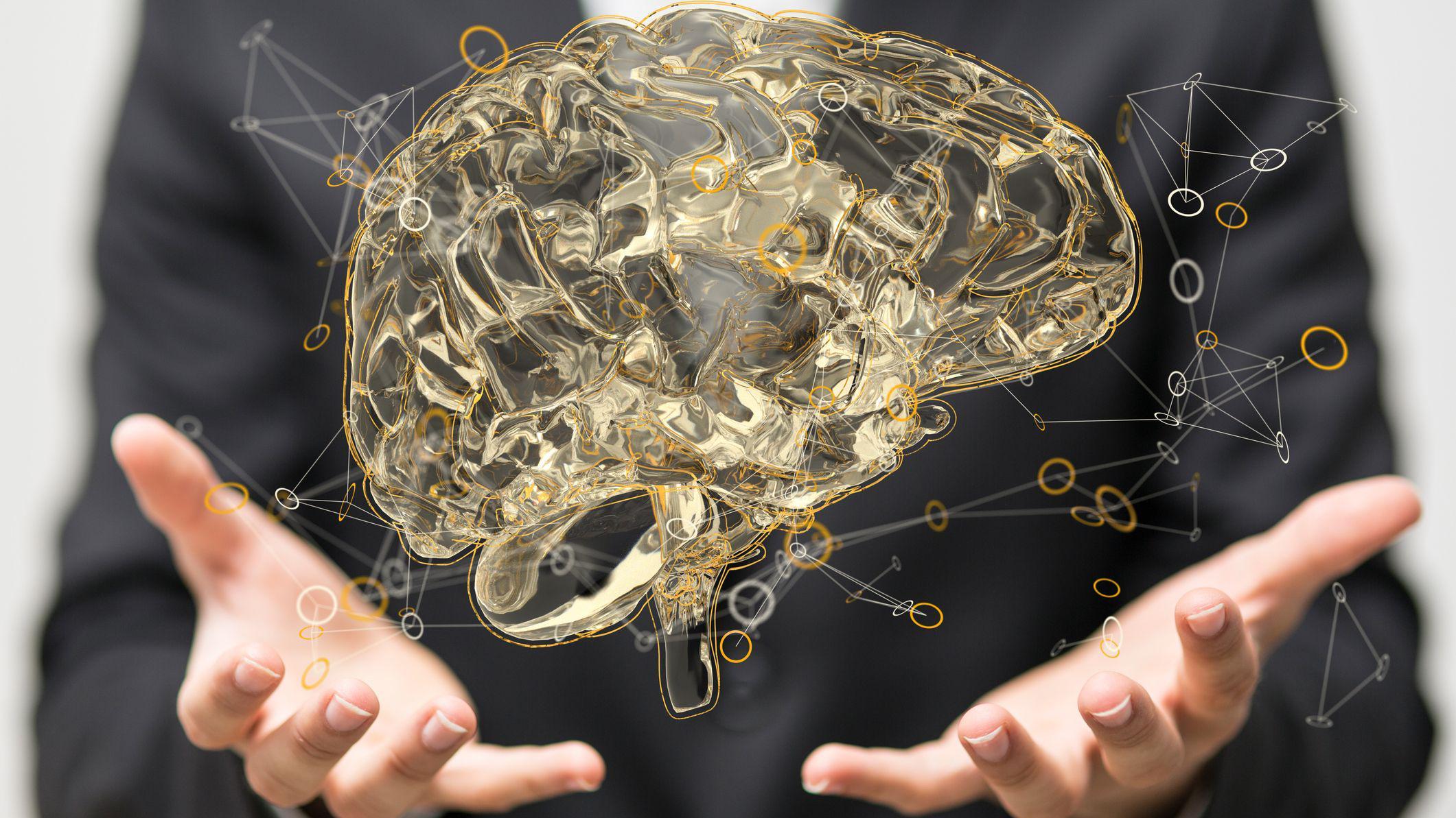 Ilustración del cerebro