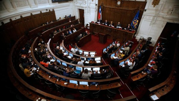 Pleno del Consejo Constitucional