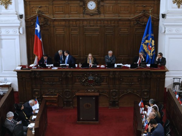 Peno del Consejo Constitucional