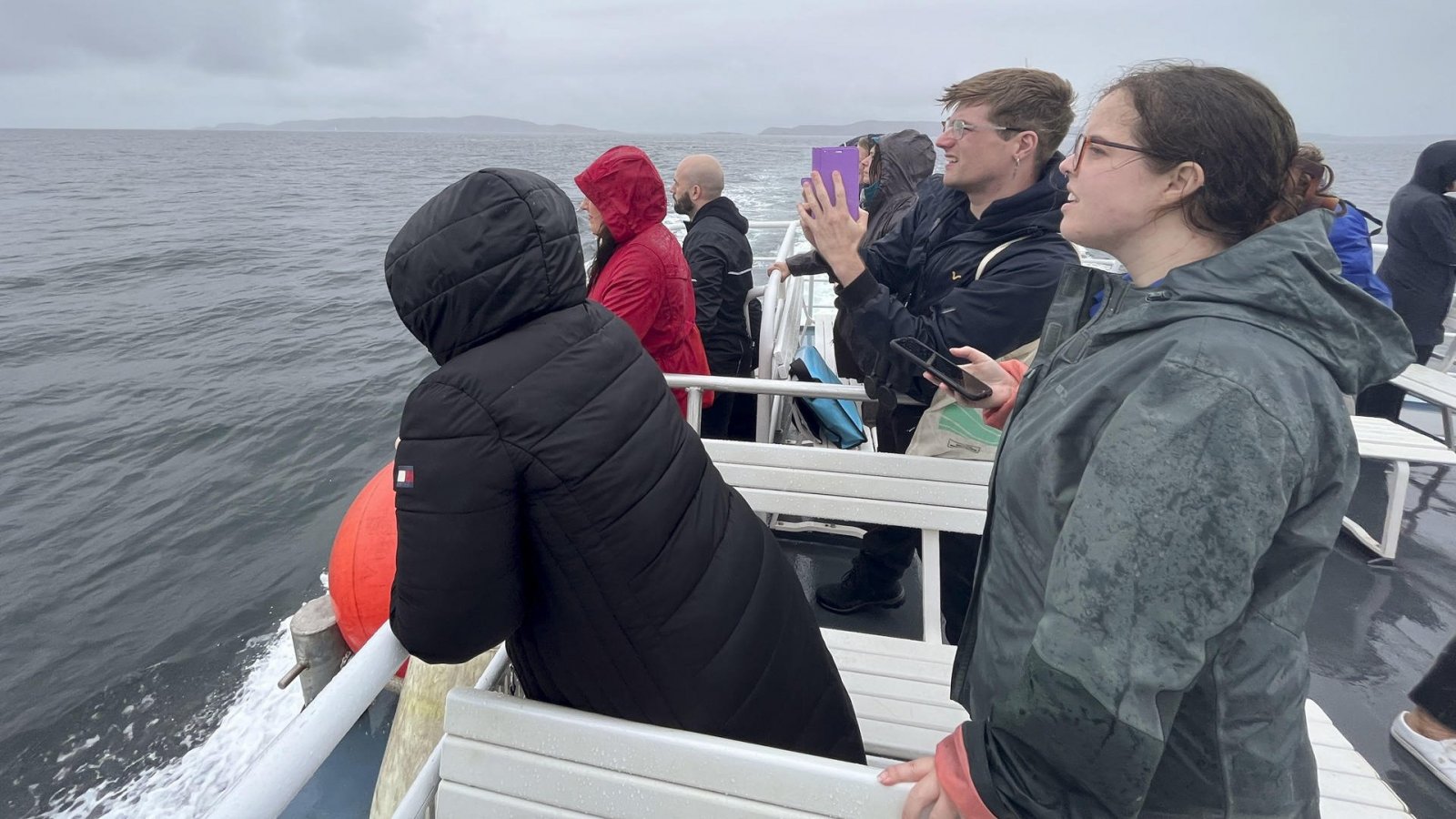 A group of people take part in a boat tour around the Celtic Sea, organized to introduce a project that uses AI to protect cetaceans along the coasts of Ireland