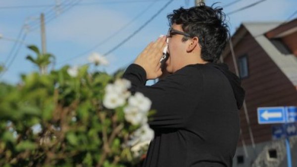 Alergias primaverales.