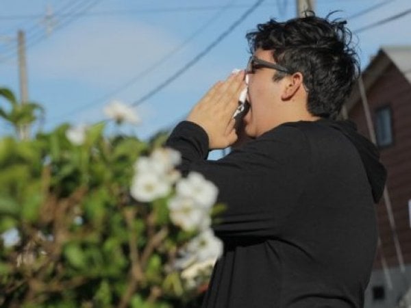 Alergias primaverales.