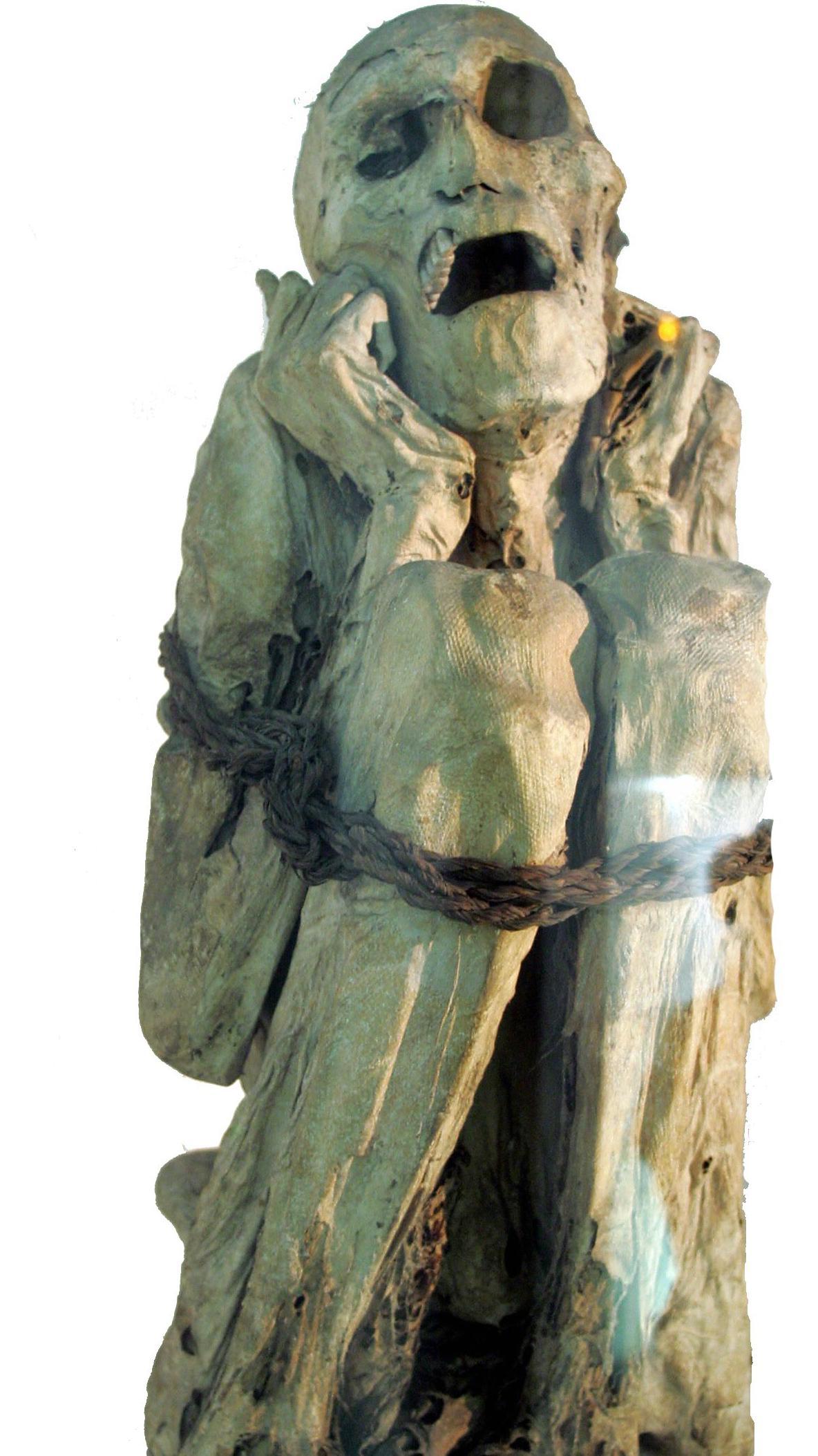 La momia de Chachapoya del Museo del Hombre de París.