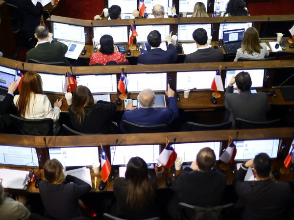 Pleno Consejo Constitucional