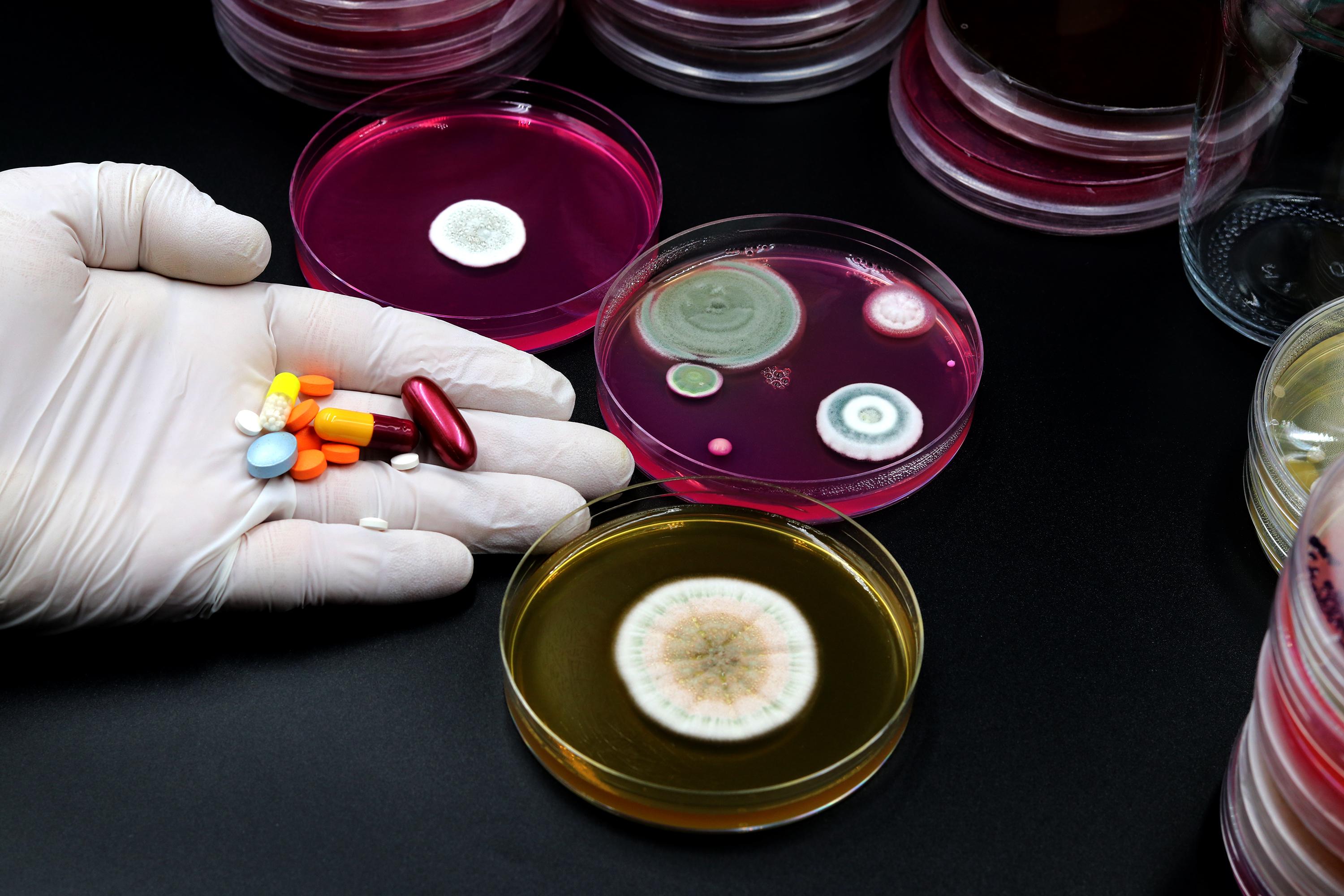 Mano llena de medicamentos al lado de unas muestras de bacterias en un laboratorio.