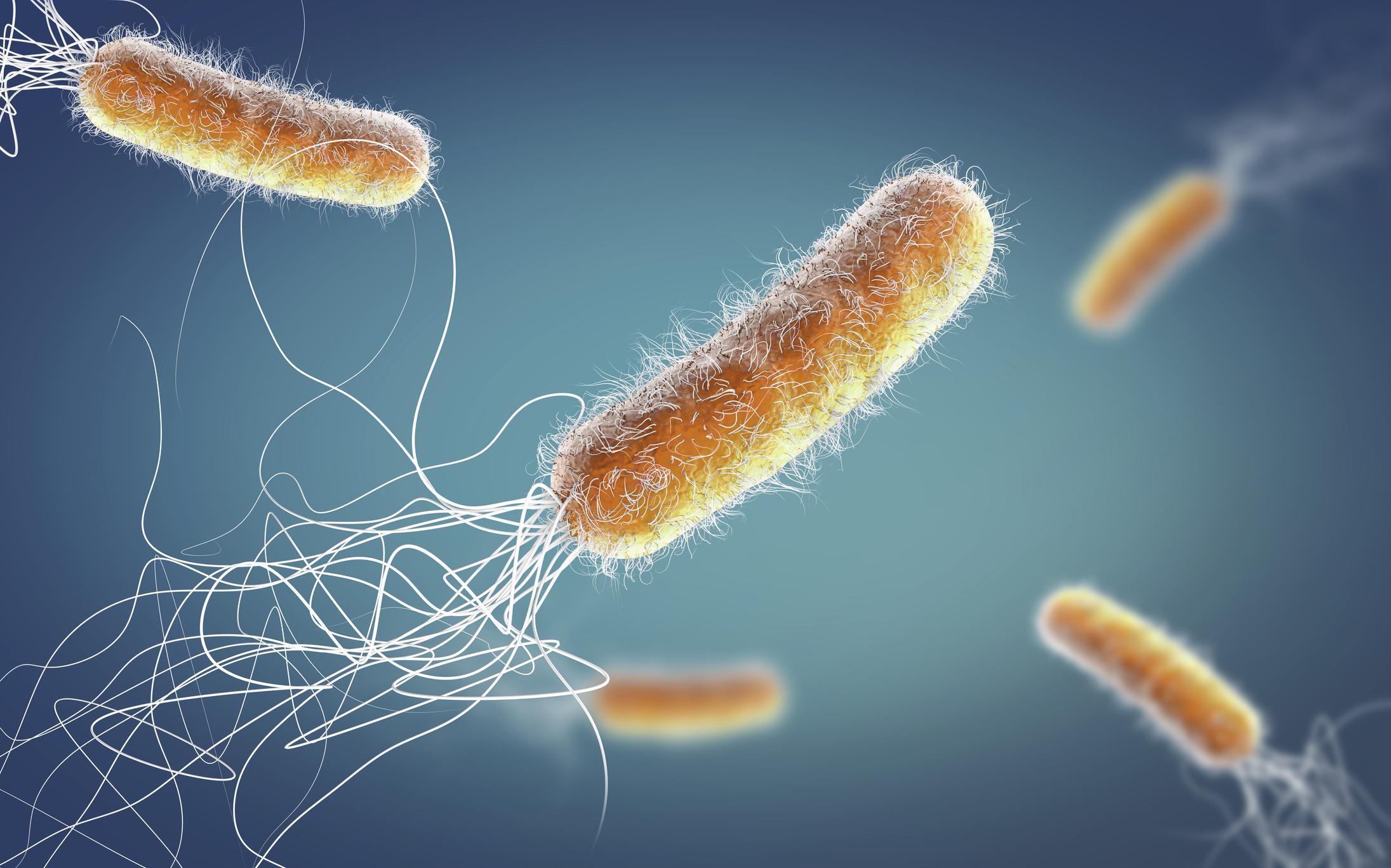 Ilustración en 3D de bacterias resistentes a los medicamentos. 