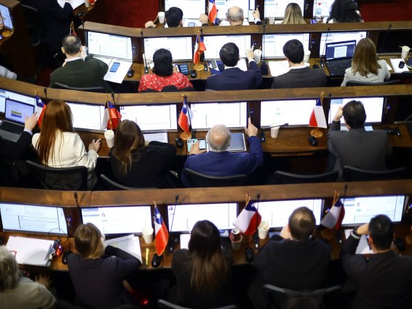 Pleno Consejo Constitucional