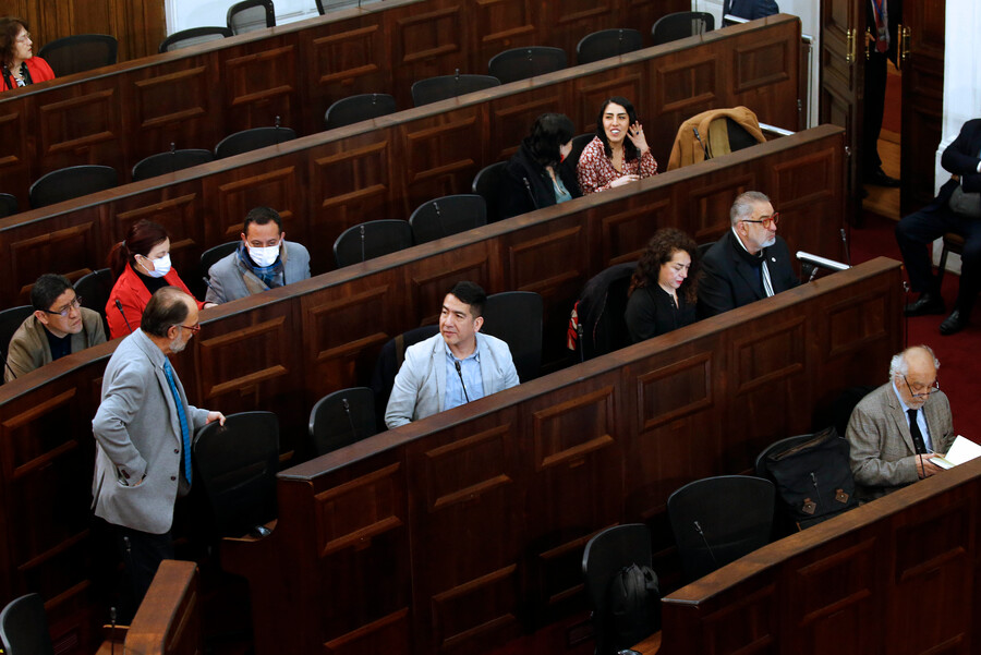 Pleno del Consejo Constitucional