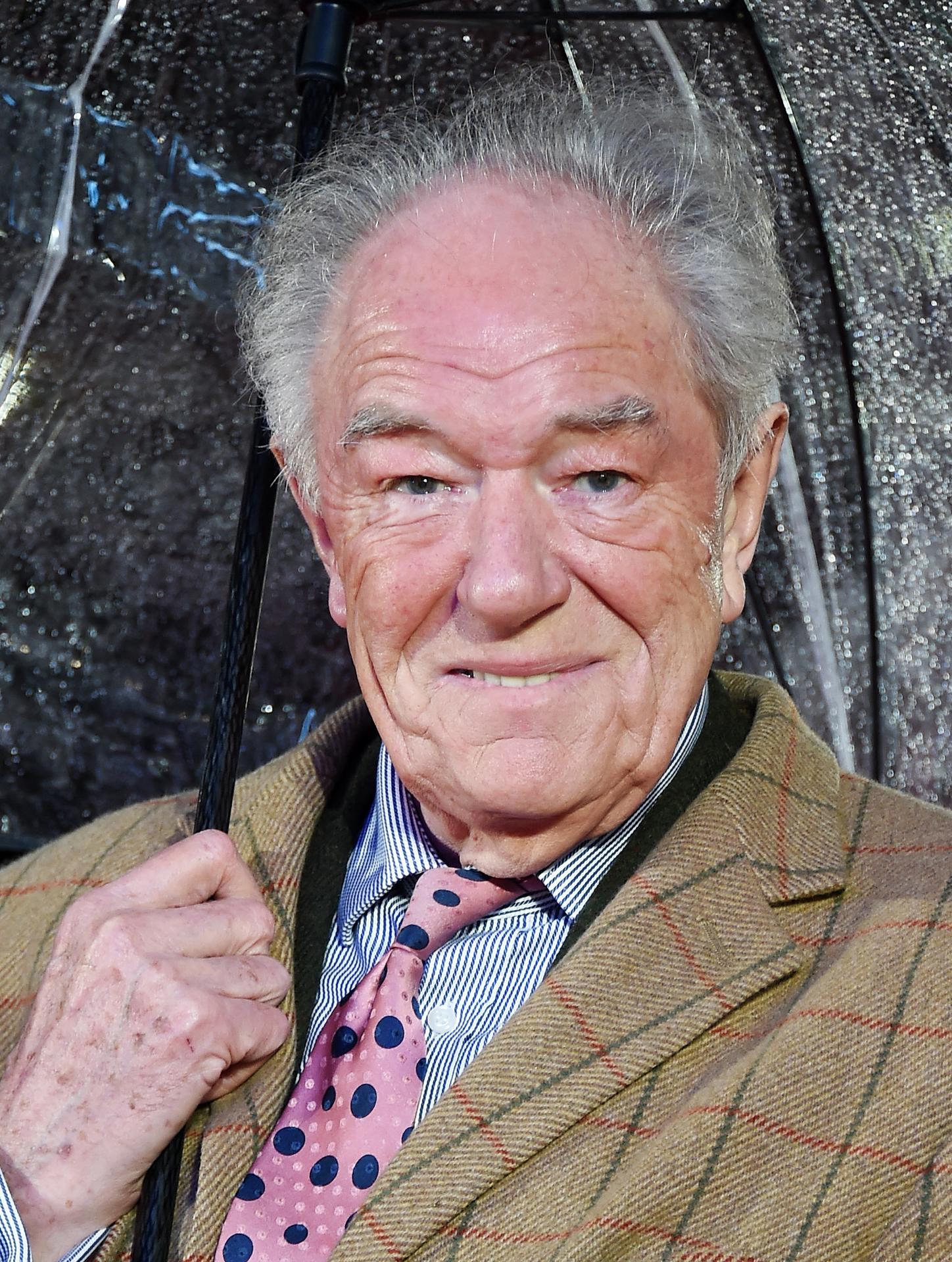 Michael Gambon