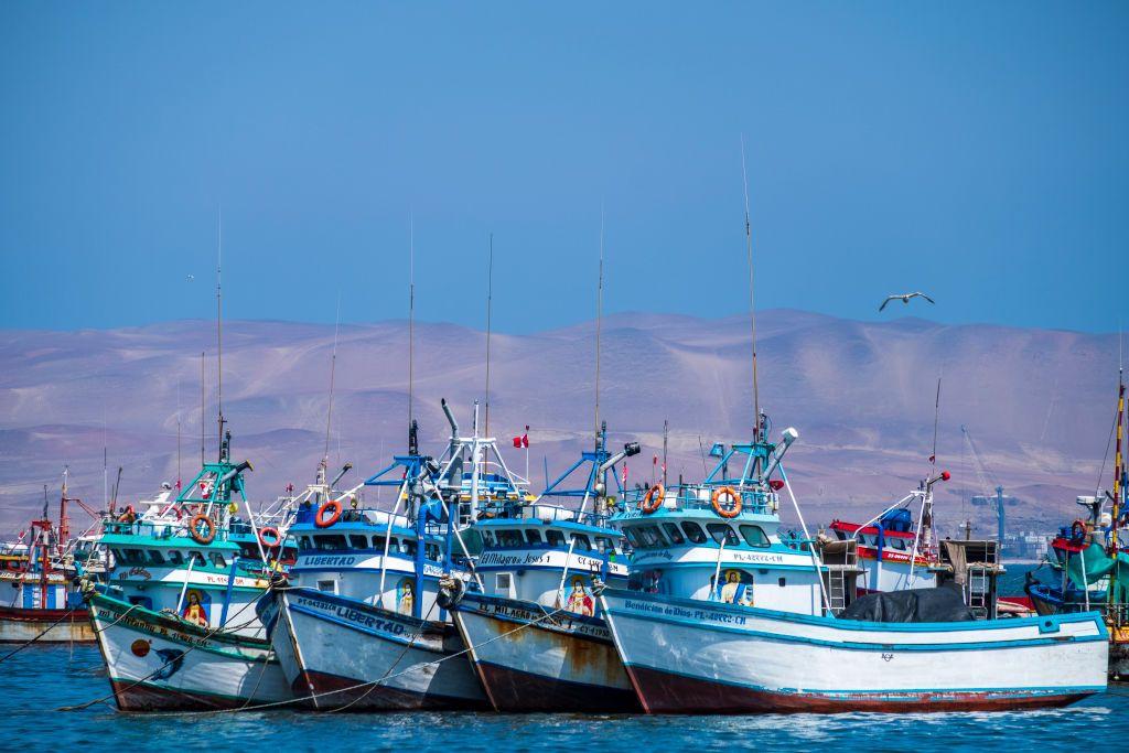 Barcos pesqueros amarrados en las Islas Ballestas.a.
