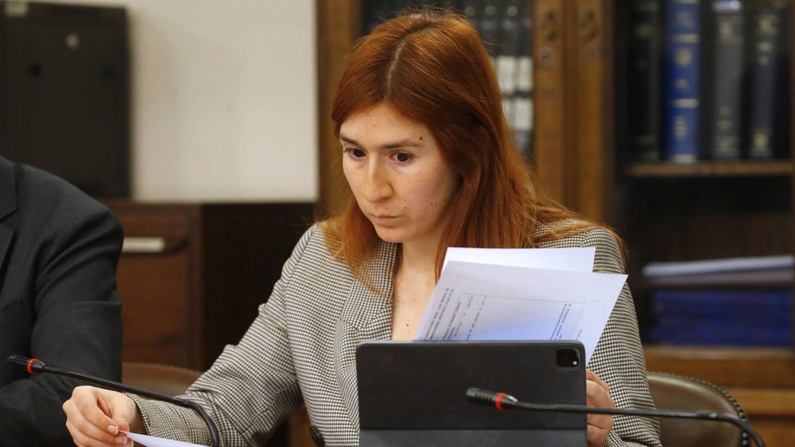 Diputada Catalina Pérez durante la Comision de Constitución