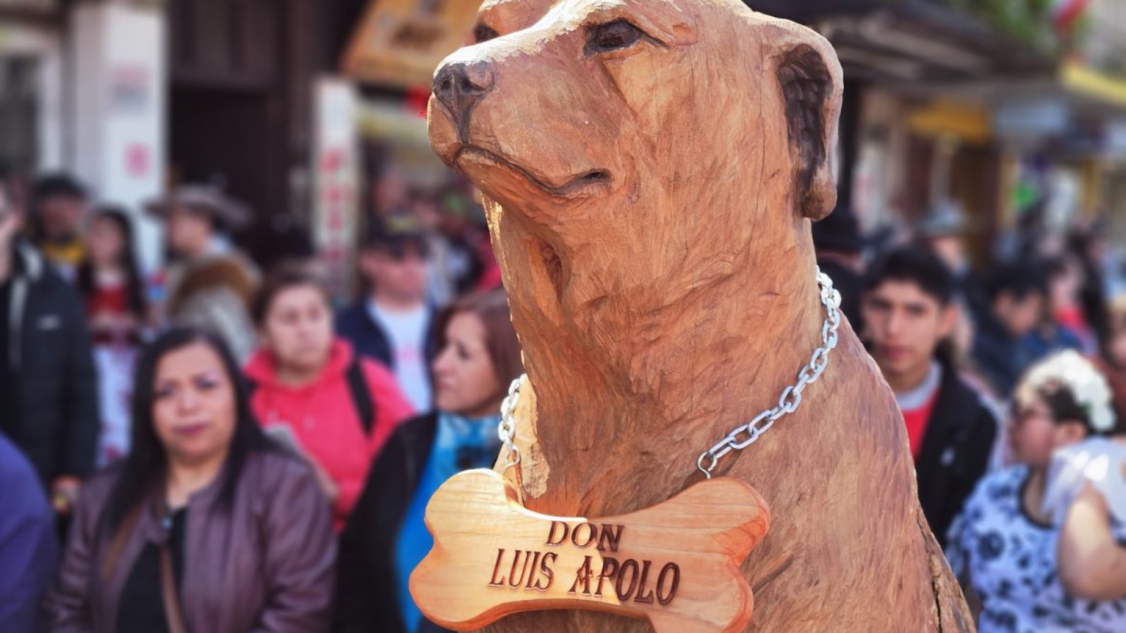 Don Luis Apolo, el perro ícono de Osorno, fue homenajeado