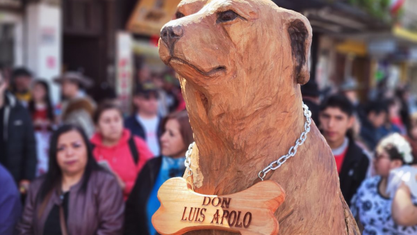 Don Luis Apolo, el perro ícono de Osorno, fue homenajeado