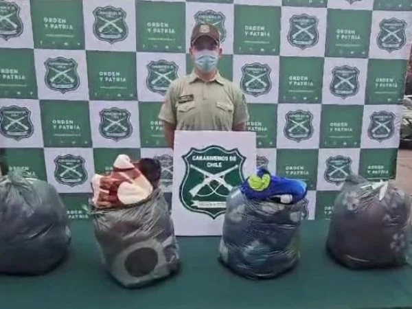 Mujeres transportaban droga en frazadas desde Colchane