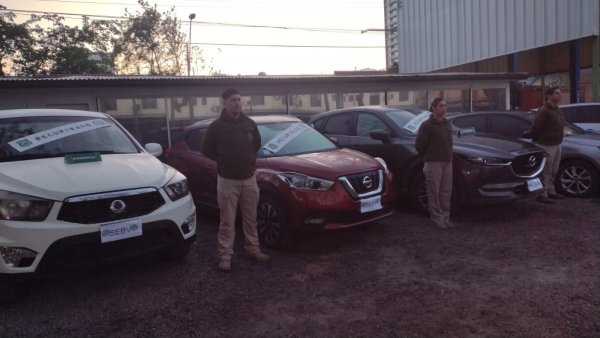 Cae banda dedicada al 