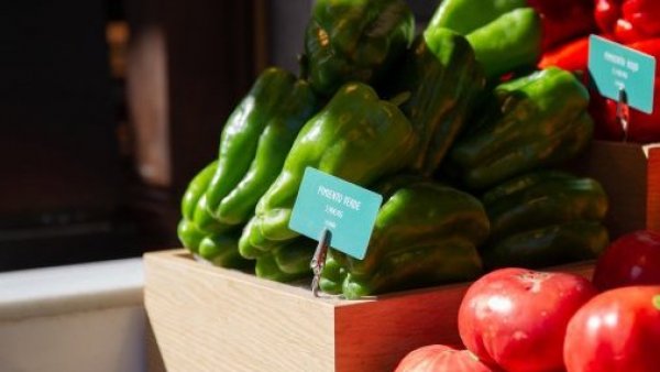 Compras para alimentación. Vegetarianos.