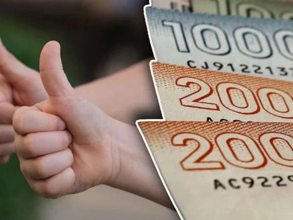 Billetes de 20 mil pesos. Bonos de octubre.