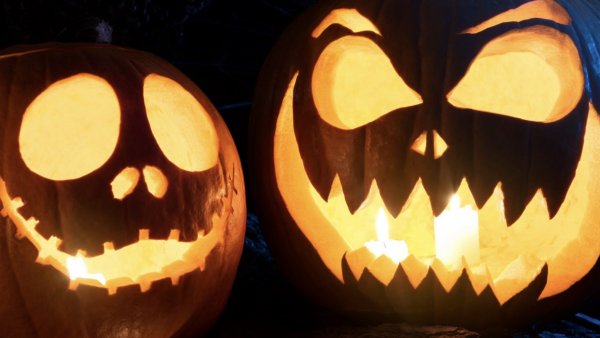 Calabazas de Halloween. Halloween Chile.