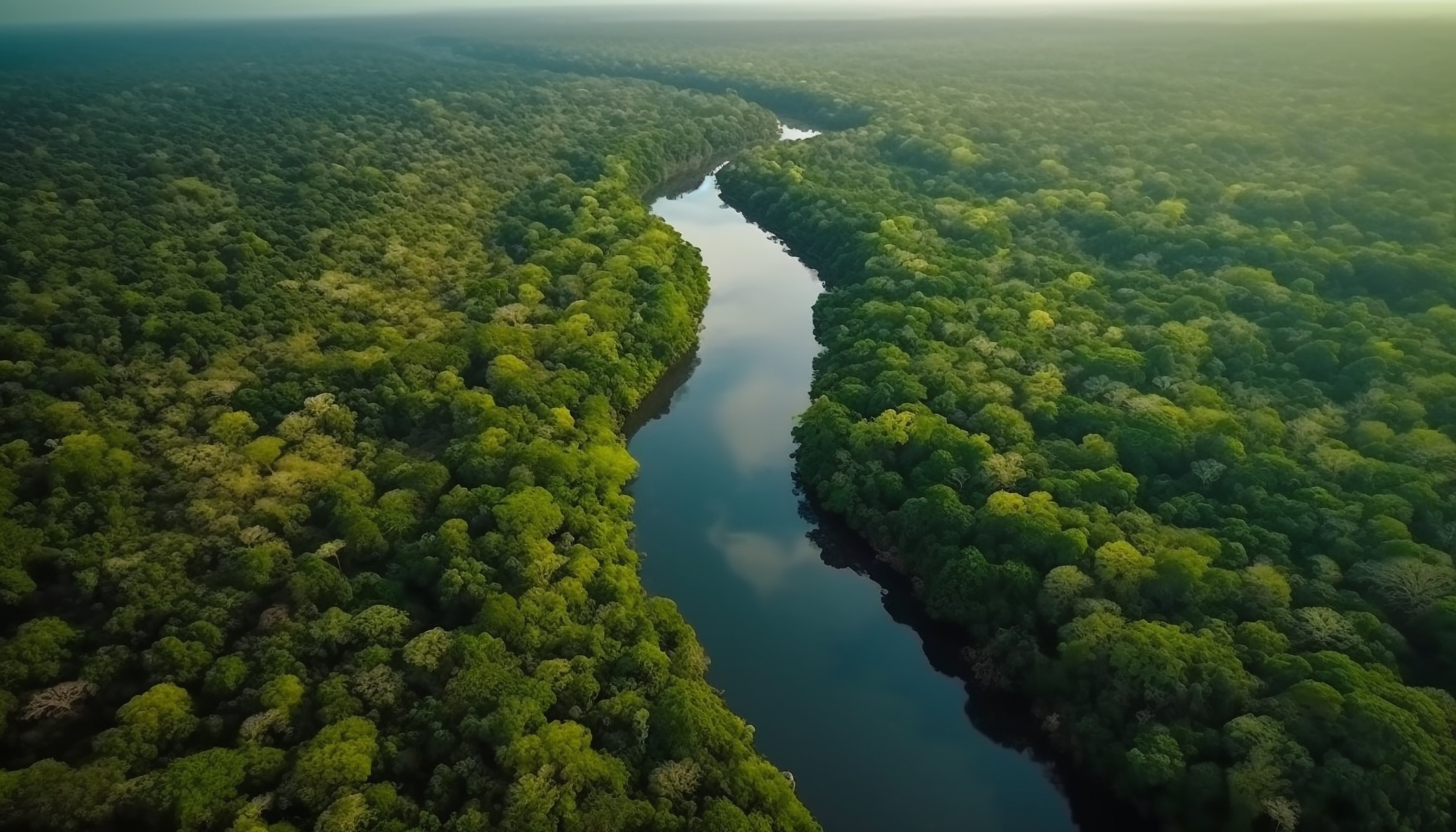 Amazonas