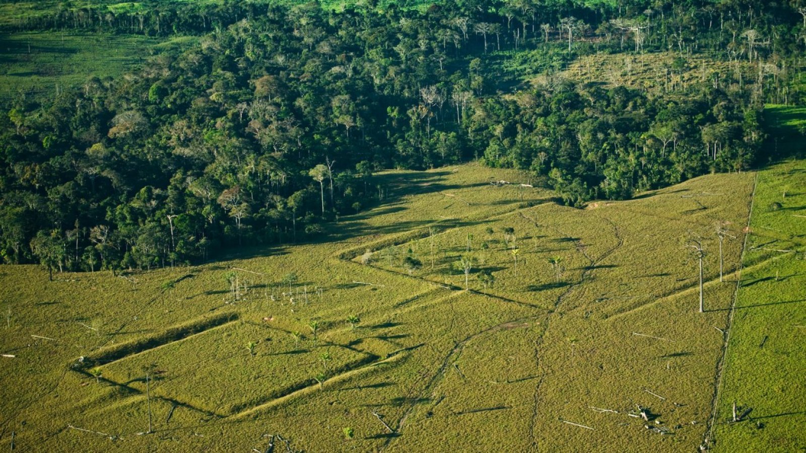 Amazonía y 10.000 sitios arqueológicos por descubrir