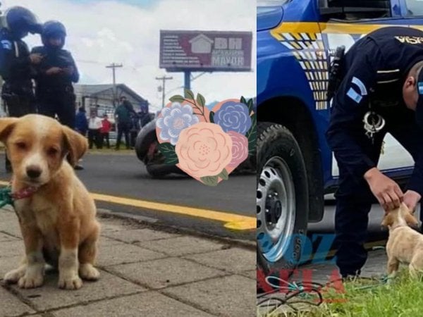 Calcetitas tras el fatal accidente que costó la vida de su dueña