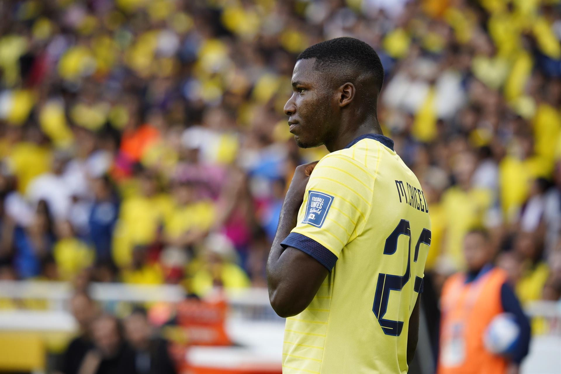 Bolivia vs Ecuador por Eliminatorias.