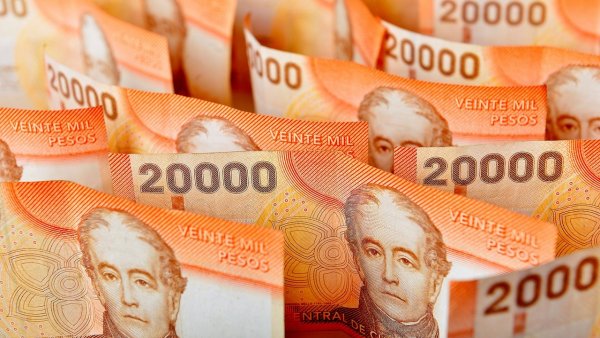 Billetes de 20 mil pesos. Ingreso Mínimo Garantizado