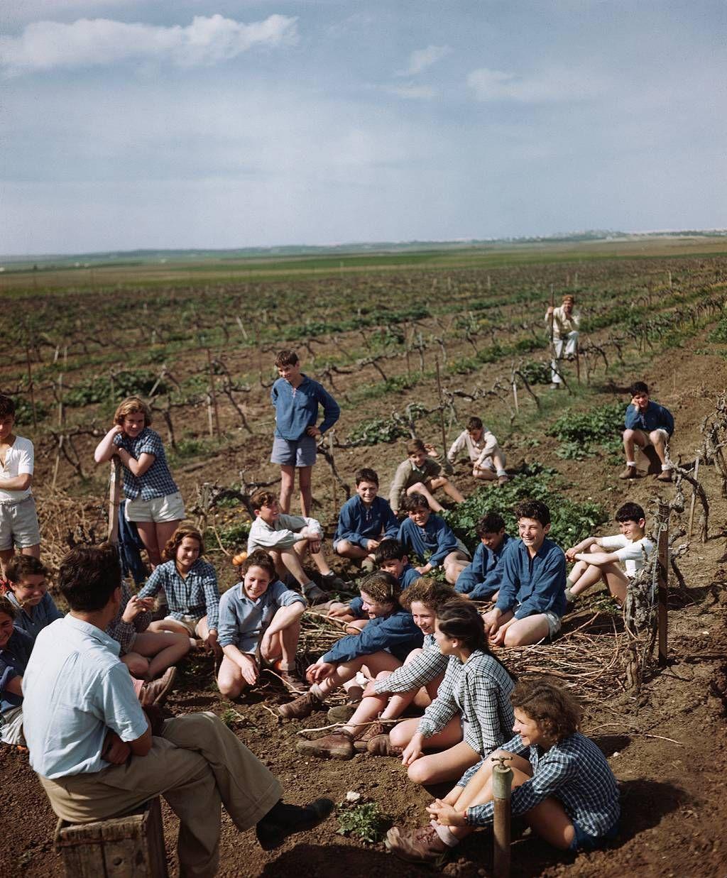 Chicos y profesor en clase en un campo de cultivo