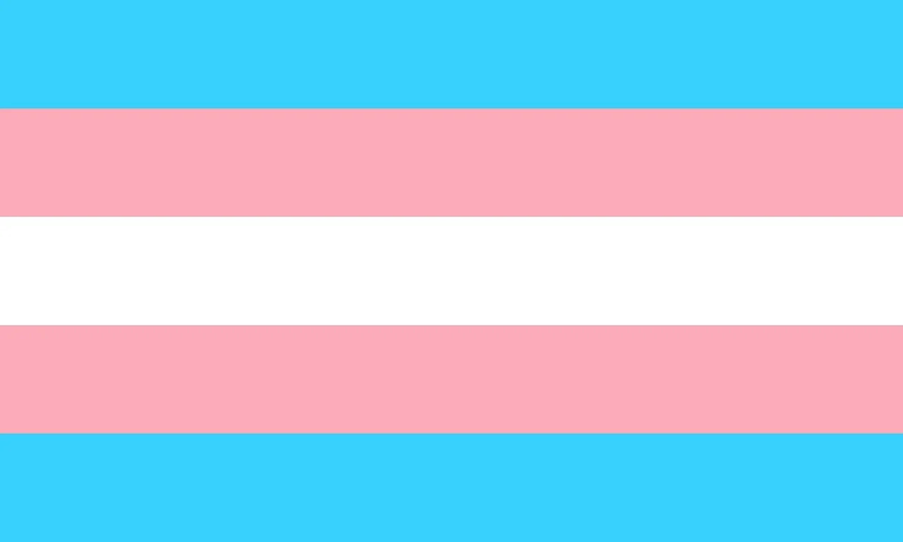 Bandera transexual